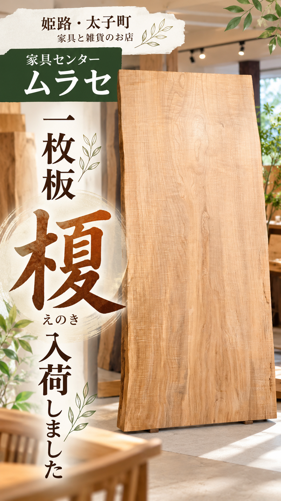 榎(えのき) 一枚板 入荷案内
